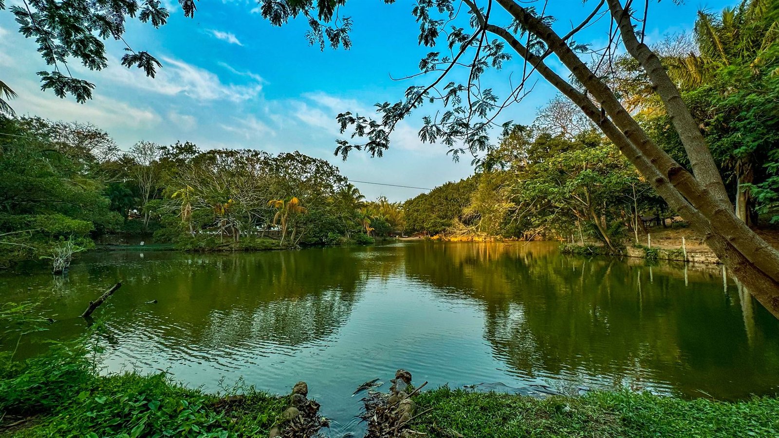 Laguna en calma rodeada de vegetación al atardecer en Güembé